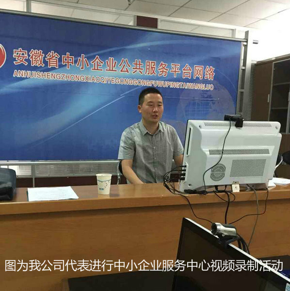 安徽臥濤代表參與中小企業(yè)服務(wù)中心科技項目申報演講