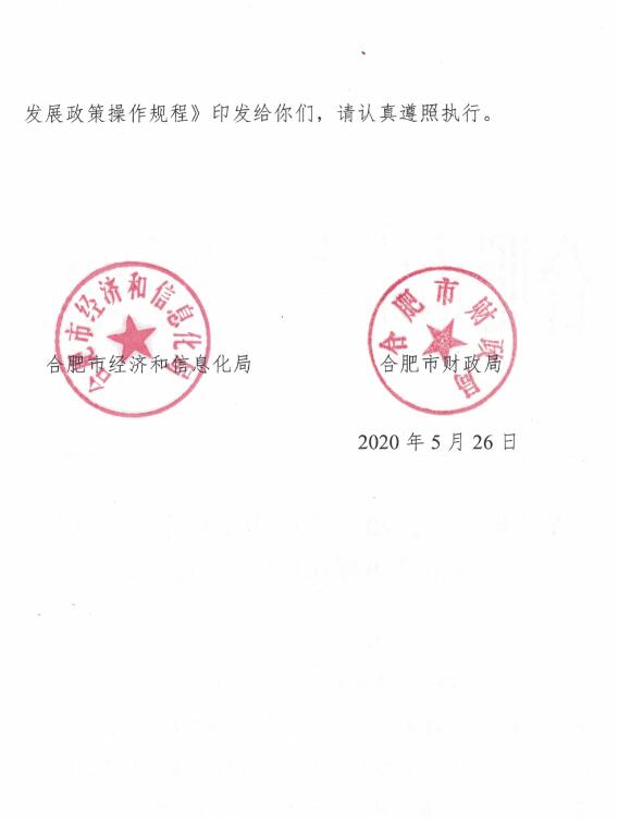 關(guān)于印發(fā)《2020年合肥市支持先進制造業(yè)發(fā)展政策操作規(guī)程》的通知